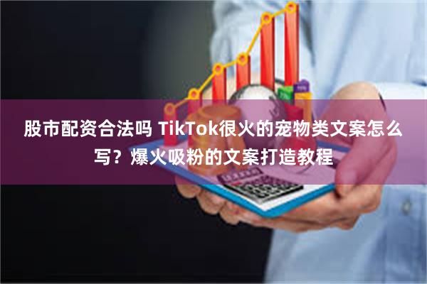 股市配资合法吗 TikTok很火的宠物类文案怎么写？爆火吸粉的文案打造教程