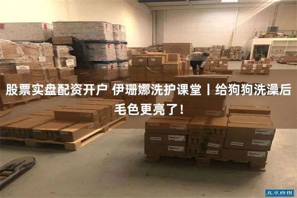 股票实盘配资开户 伊珊娜洗护课堂丨给狗狗洗澡后毛色更亮了！