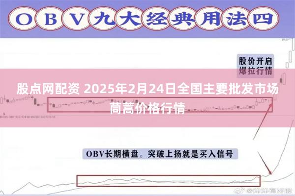 股点网配资 2025年2月24日全国主要批发市场茼蒿价格行情