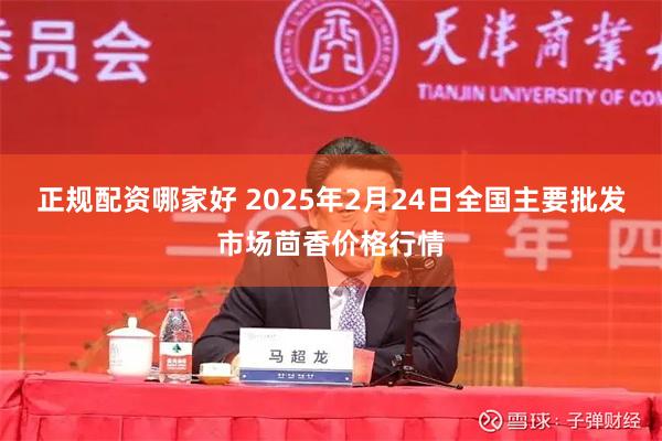 正规配资哪家好 2025年2月24日全国主要批发市场茴香价格行情