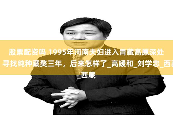 股票配资吗 1995年河南夫妇进入青藏高原深处，寻找纯种藏獒三年，后来怎样了_高媛和_刘学忠_西藏