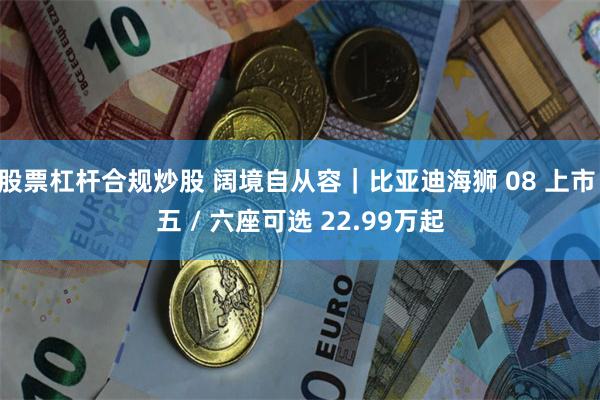股票杠杆合规炒股 阔境自从容｜比亚迪海狮 08 上市 五 / 六座可选 22.99万起