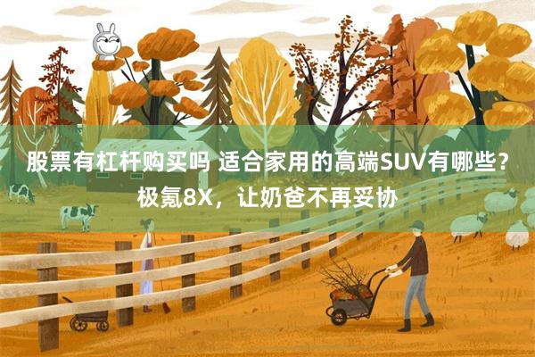 股票有杠杆购买吗 适合家用的高端SUV有哪些？极氪8X，让奶爸不再妥协